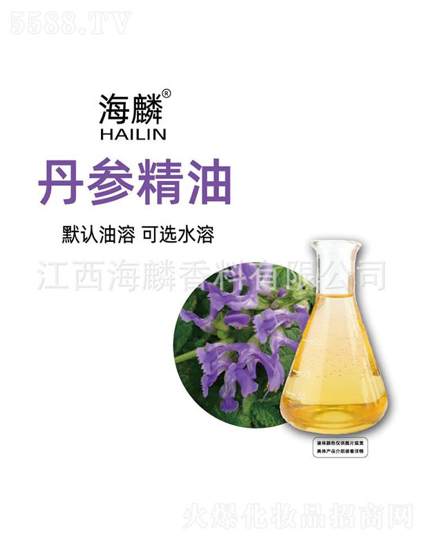 ���뵤������