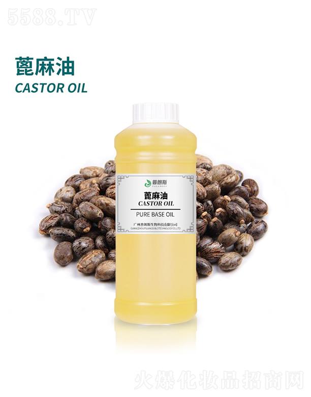 ����˹������