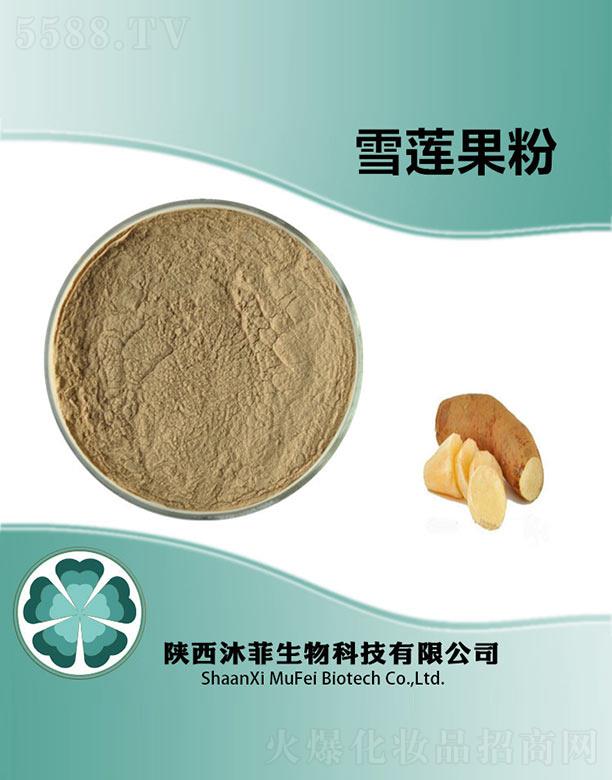 ���ѩɏ����