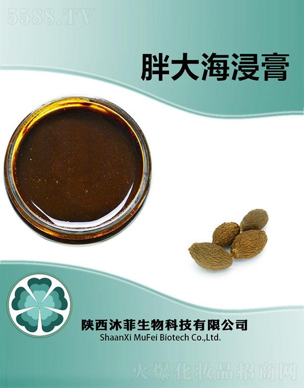 ����������Ƽ����޹�˾������ִ󺣽���