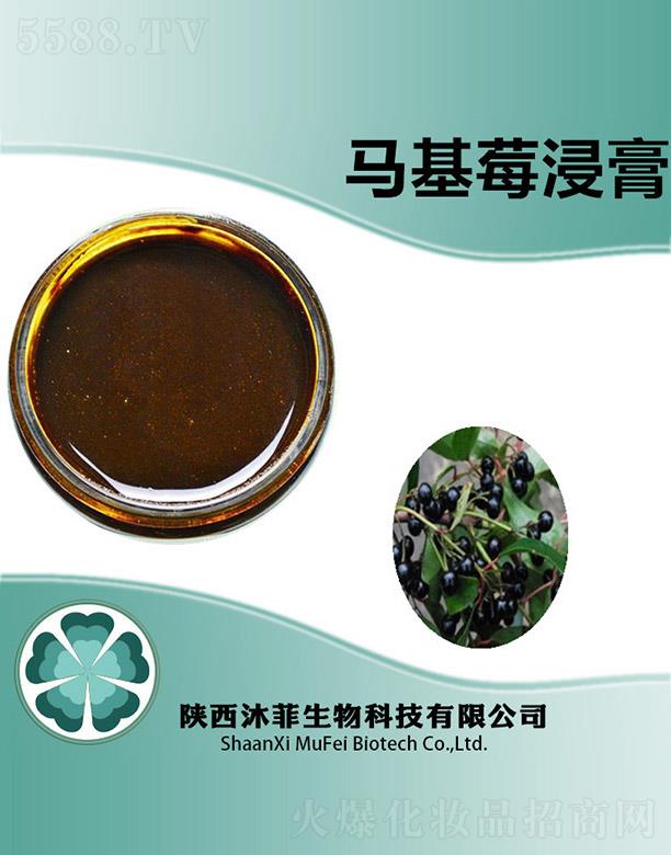 ����������Ƽ����޹�˾������R��ݮ����