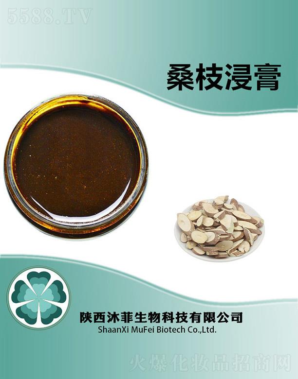 ����������Ƽ����޹�˾�����ɣ֦����