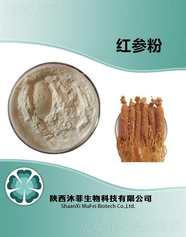 ����������Ƽ����޹�˾����Ƽt����