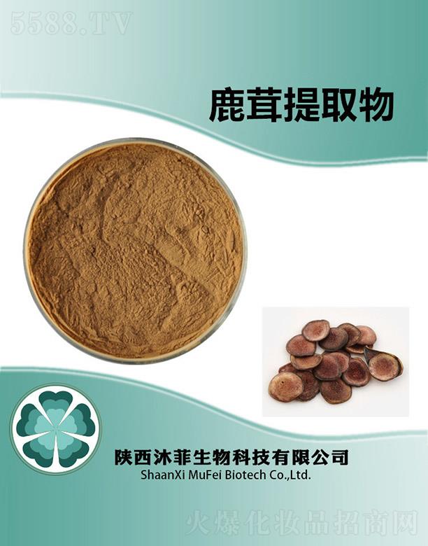 ����������Ƽ����޹�˾�����¹����ȡ��