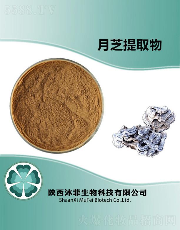 ����������Ƽ����޹�˾�������֥��ȡ��