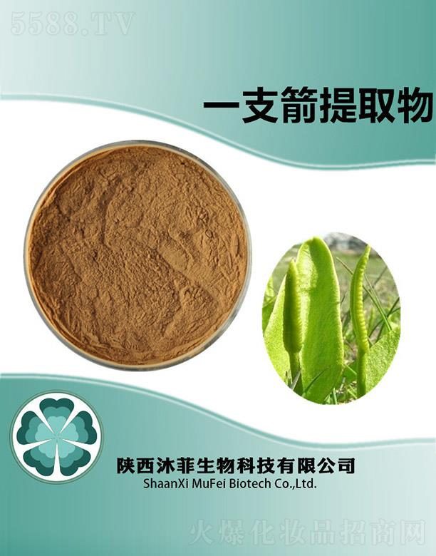 ����������Ƽ����޹�˾�����һ֧����ȡ��