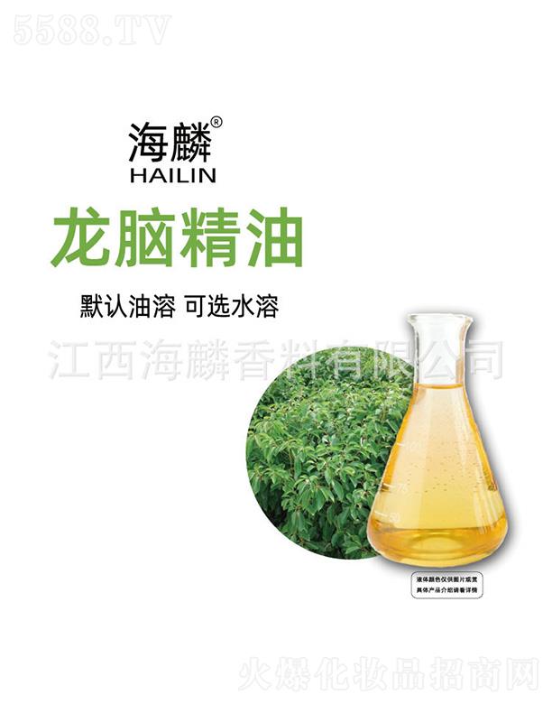 �������X����