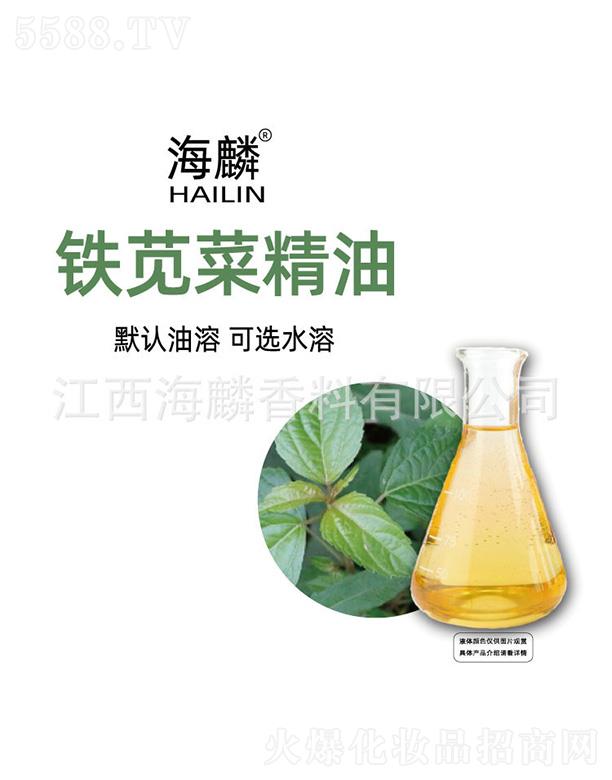 �����F�{�˾���