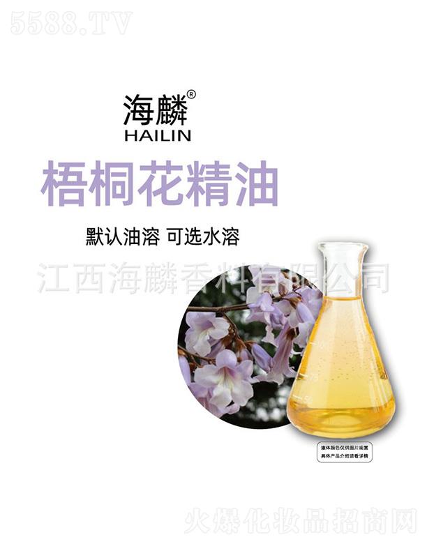 ������ͩ������