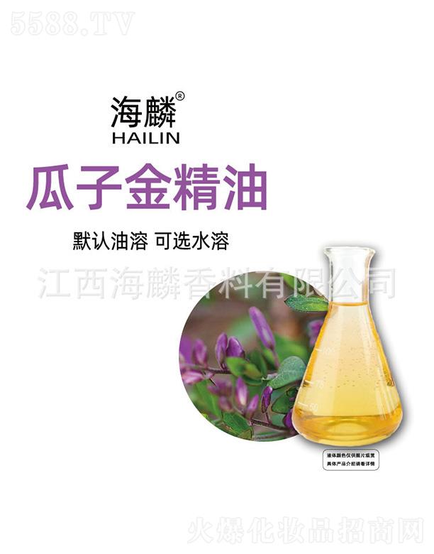 ������ӽ���