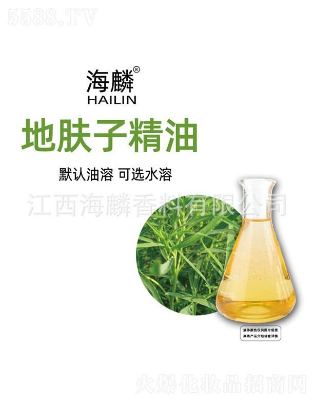 ������w�Ӿ���