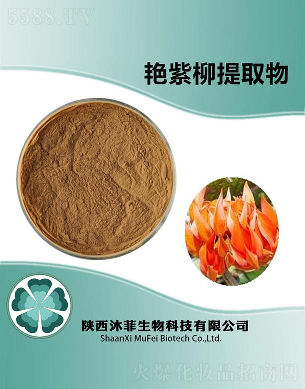 ����������Ƽ����޹�˾������G������ȡ��