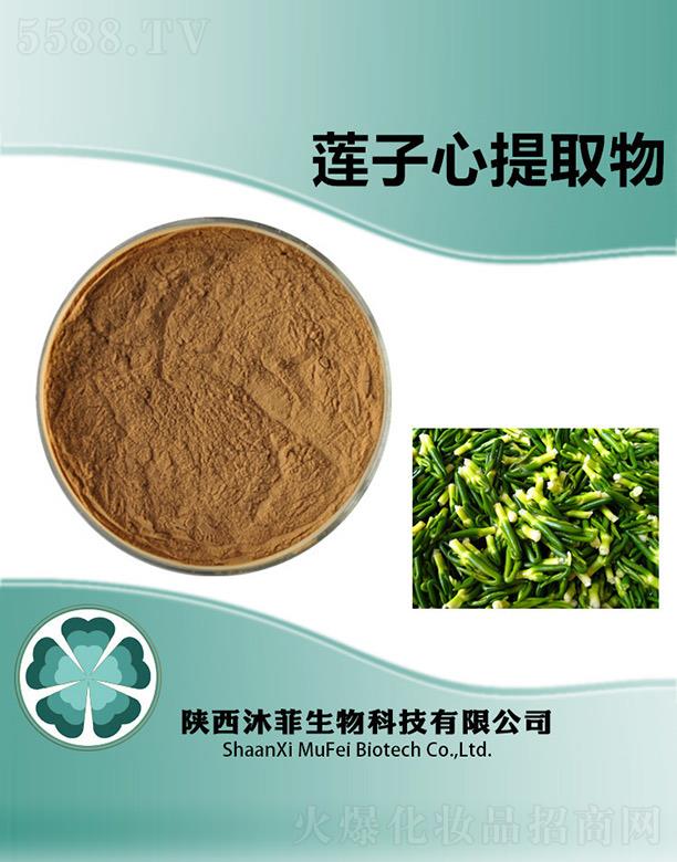 ���ɏ������ȡ��