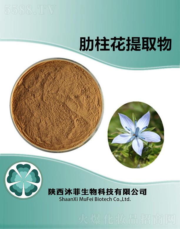 �����������ȡ��