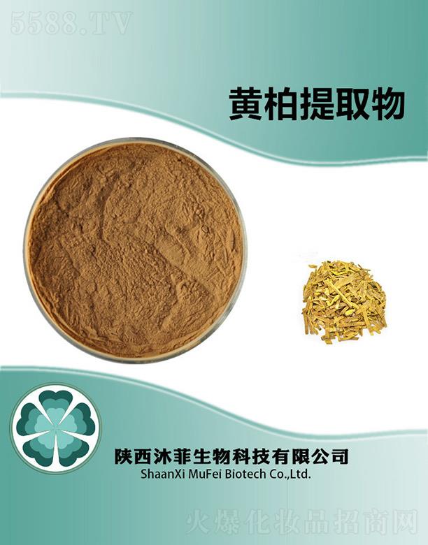 ����S����ȡ��