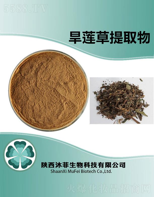 ��ƺ�ɏ����ȡ��