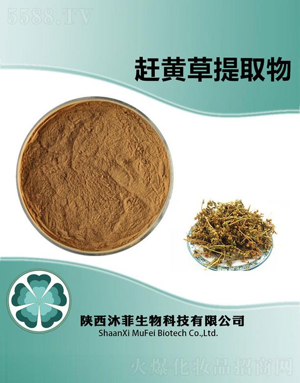 ����s�S����ȡ��