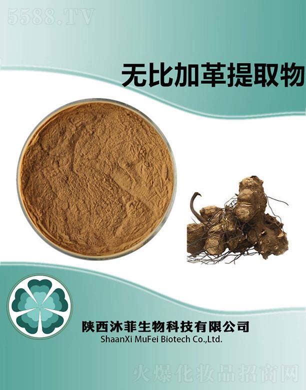 ��Ɵo�ȼӸ���ȡ��