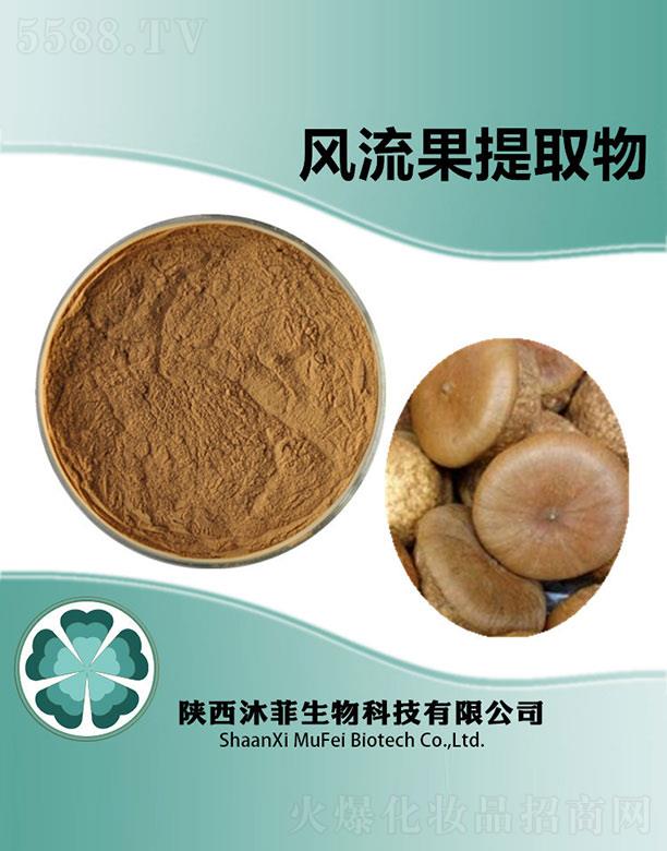 ����L������ȡ��