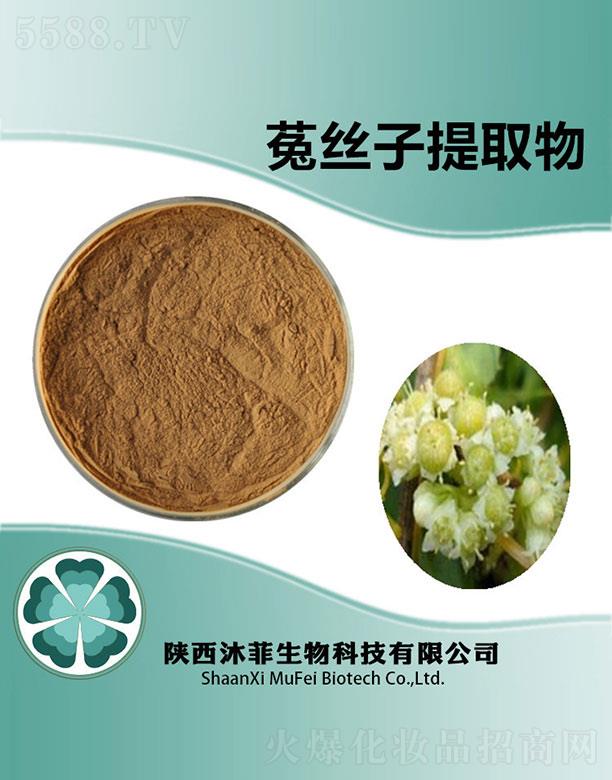 ����˽z����ȡ��