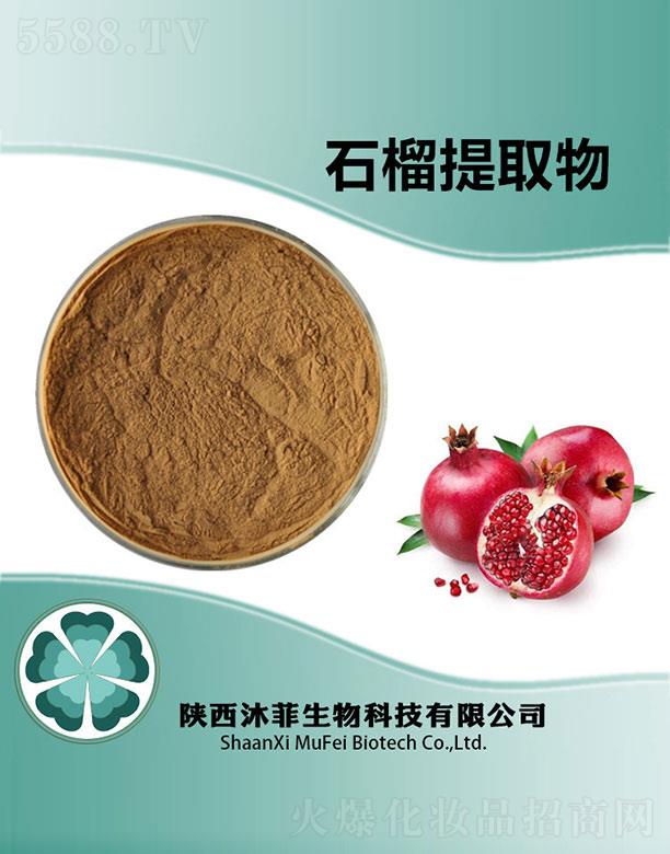 ���ʯ����ȡ��