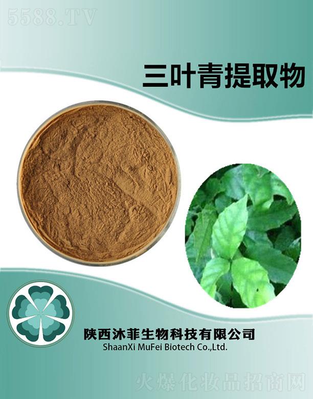 ������~����ȡ��