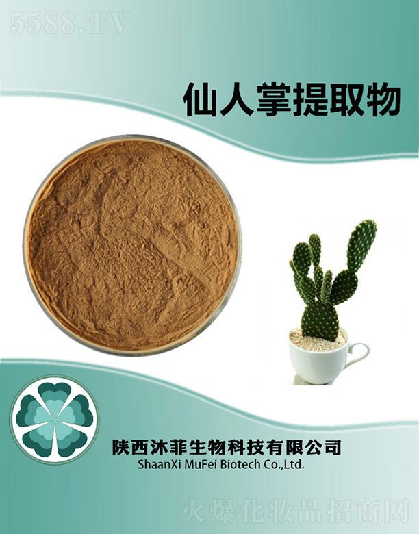 �����������ȡ��