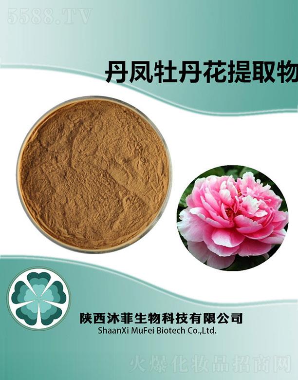 ��Ƶ��Pĵ������ȡ��