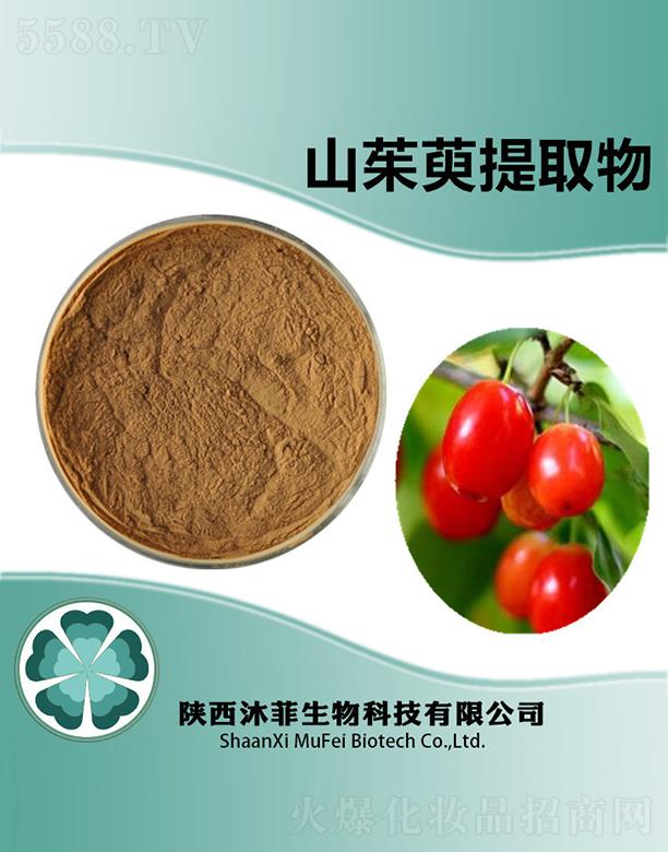 ����������Ƽ����޹�˾�����ɽ������ȡ��