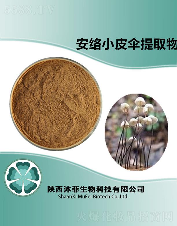 ��ư��jСƤ����ȡ��