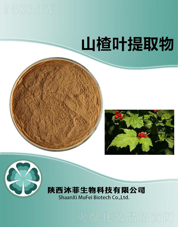 ���ɽ��~��ȡ��