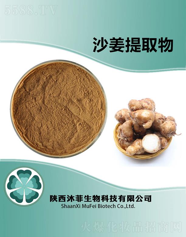 ���ɳ����ȡ��