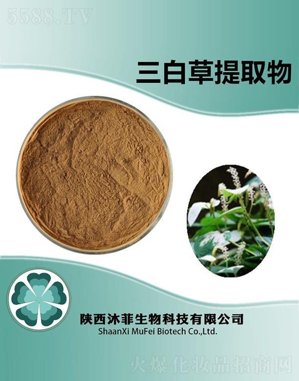 ������ײ���ȡ��