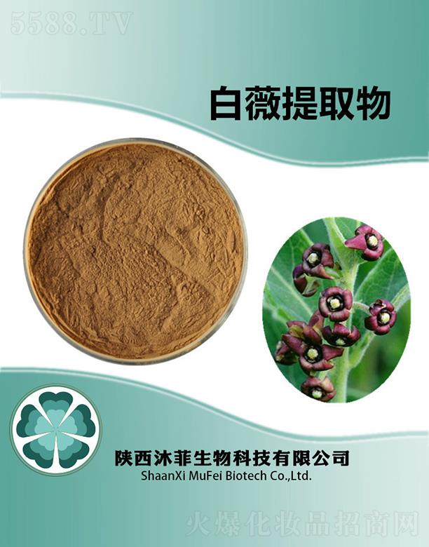 ����������Ƽ����޹�˾����ư�ޱ��ȡ��