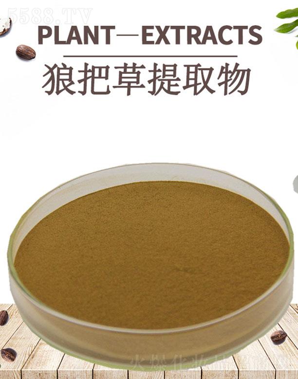 �ĺ��ǰѲ���ȡ��