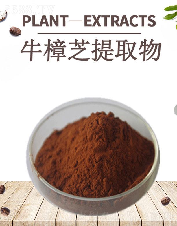 �ĺ�ţ��֥��ȡ��