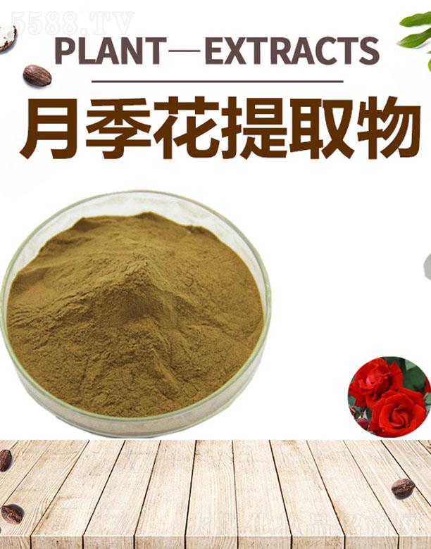 ����ĺ�����Ƽ����޹�˾���ĺ��¼�����ȡ��