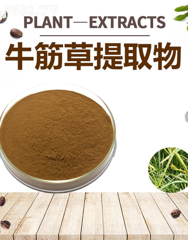 �ĺ�ţ�����ȡ��