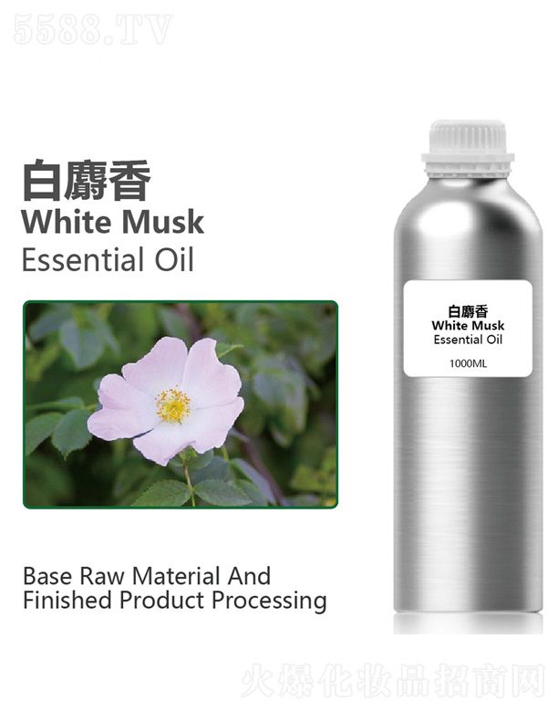 �����㾫��OEM