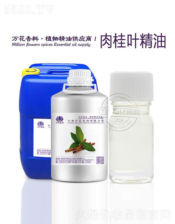 �f������~����