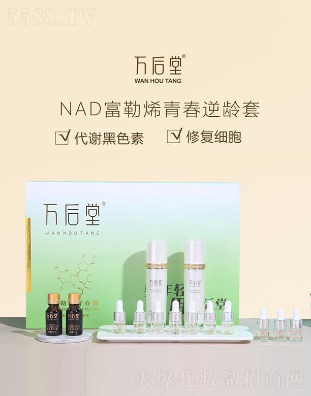 �f(w��n)����DNA����ϩ�ഺ��