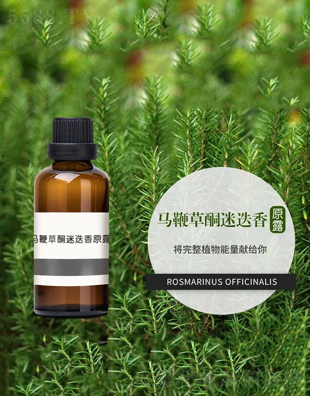 �R�޲�ͪ�Ե���ԭ¶