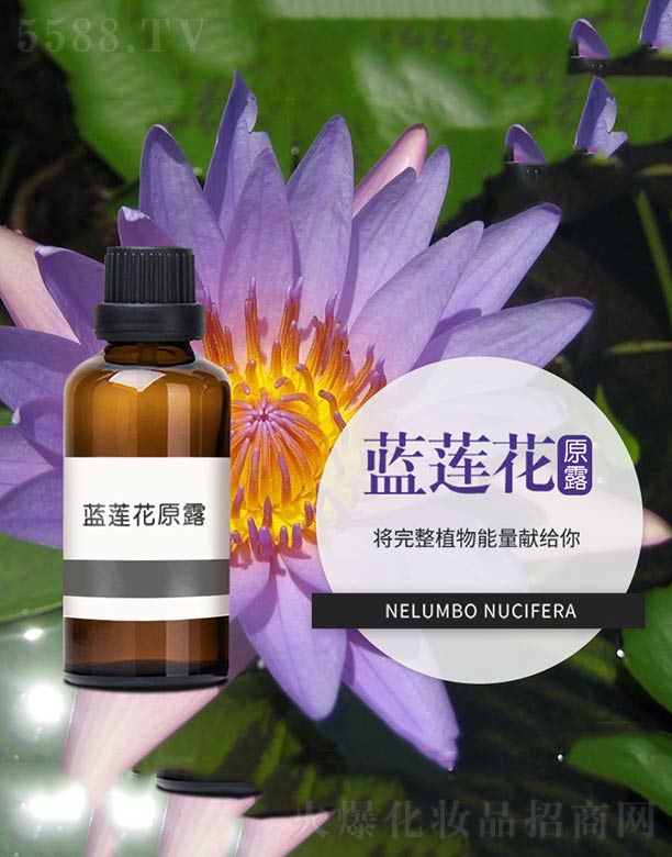 �{(l��n)ɏ��ԭ¶