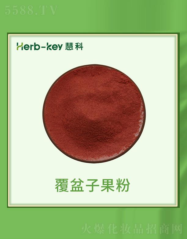 �ۿƸ����ӹ���