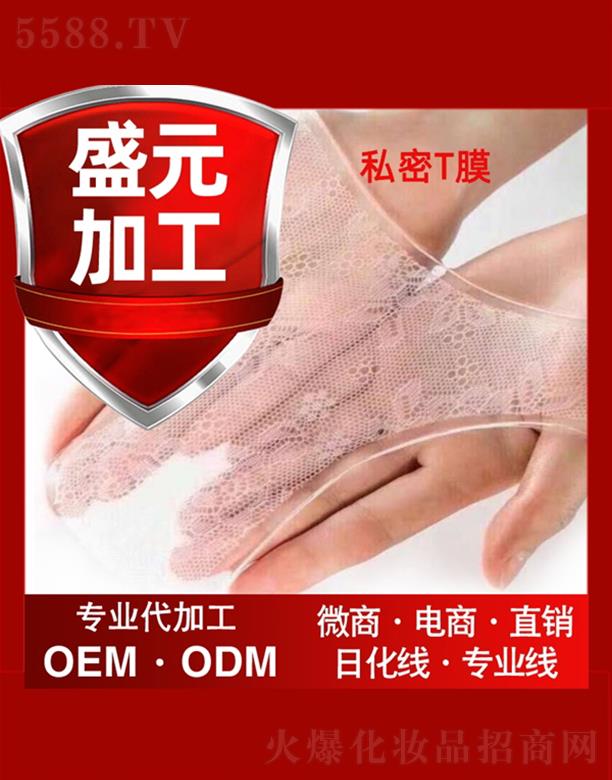 ʢԪˎ�I(y��)˽��TĤ���ӹ�