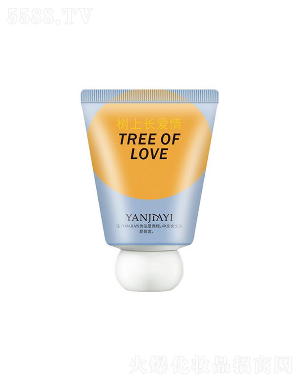 ���С�ֶ��o(h��)��˪�������L���飩