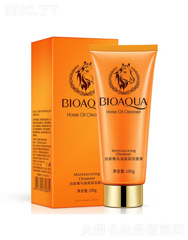 �V���А�ɏ   ��Ȫ���R���̝������  ����坍   �տsë��