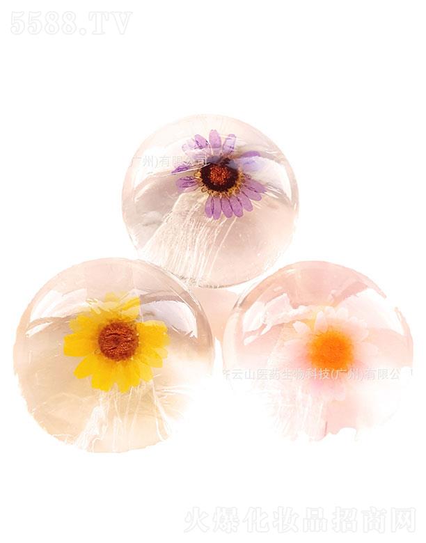 �R��ɽ�t(y��)ˎ   �R�Ɲh��������ɻ���Ȼֲ�ﾫ����   �غ�ж�y���̼�