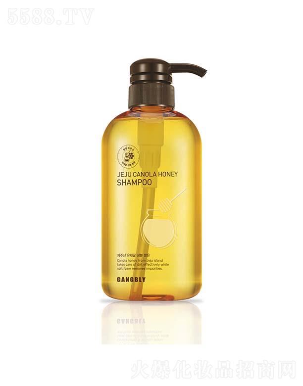 ��ؐ����(j��)���Ͳ˷���ϴ�l(f��)ˮ 500ml��혱������B(y��ng)