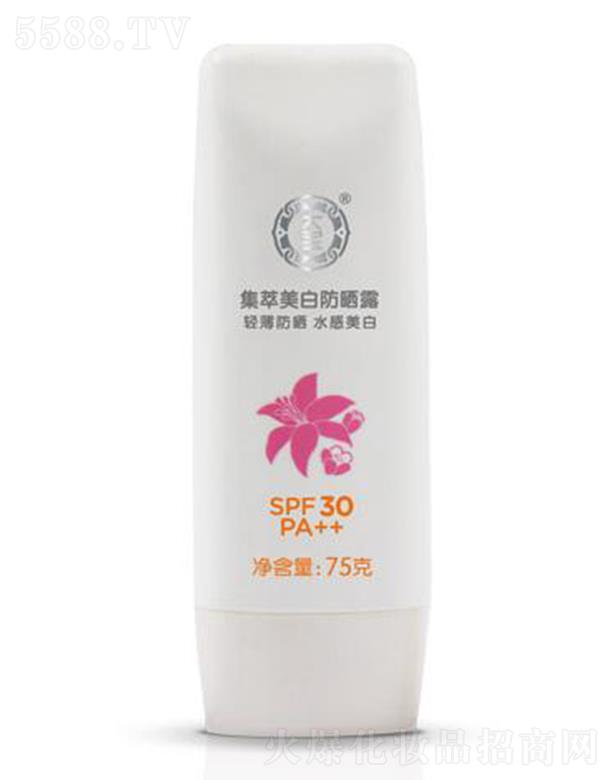 �󌚼������׷���¶ 75g�p��������x���o